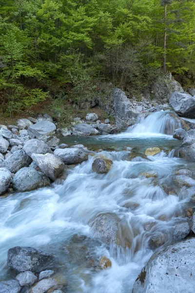 Mountain stream in Alps Royalty Free Stock Photos