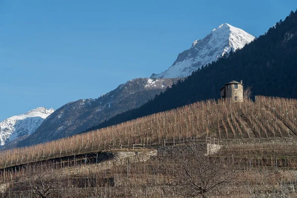 ヴァッレ ・ ダオスタ州、イタリアの丘の上の農業景観 — ストック写真