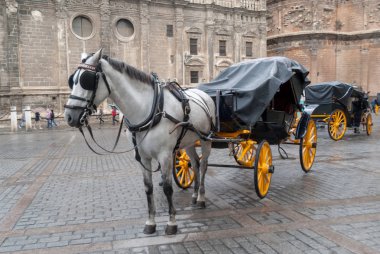 Turistik taşıma Seville içinde