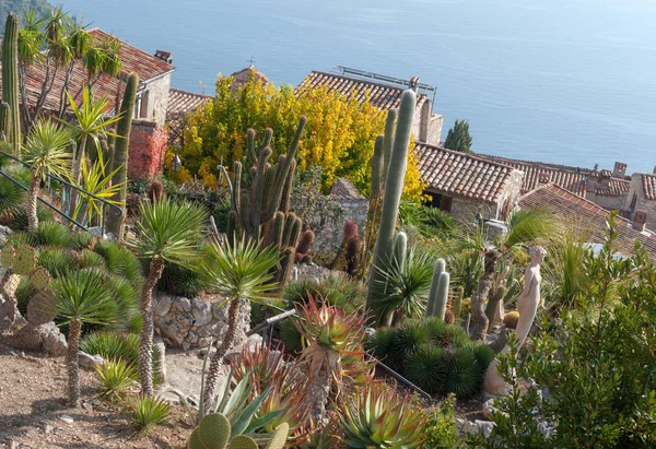 The exotic garden of the village of Eze, France — Stock Photo, Image