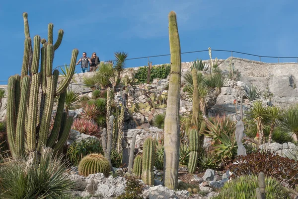 Francouzská Riviéra, Eze vesnice, botanické zahrady — Stock fotografie