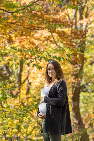 Беременная женщина осенью — стоковое фото