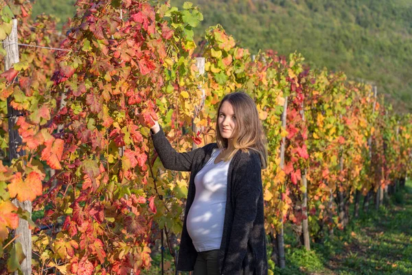 Retrato de mulher grávida em pé na vinha de outono — Fotografia de Stock