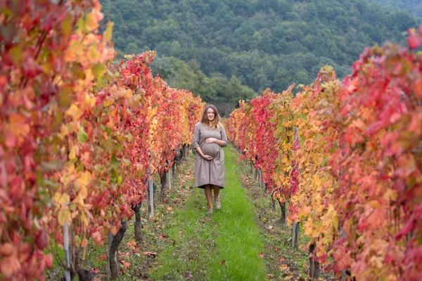 Pregnant woman standing in autumn vineyard — Stock Photo, Image