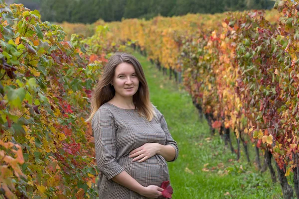 Mulher grávida em pé na vinha de outono — Fotografia de Stock