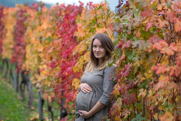 Беременная женщина стоит в осеннем винограднике — стоковое фото