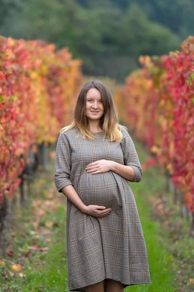 Беременная женщина стоит в осеннем винограднике — стоковое фото