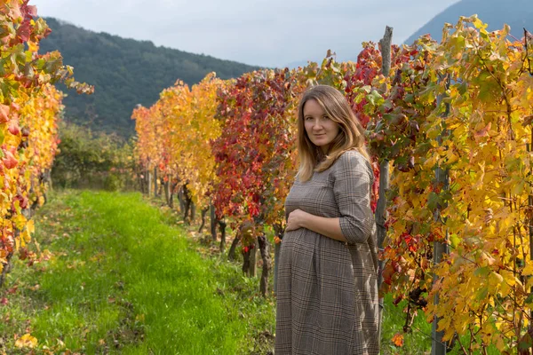 Schwangere steht im Herbst im Weinberg — Stockfoto