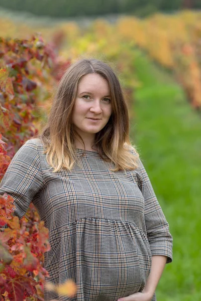 Pregnant woman standing in autumn vineyard — Stock Photo, Image