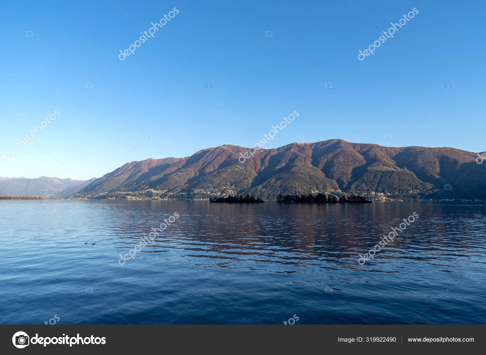 Lago Maggiore Perto De Locarno Suica Fotos Imagens De C Surkovdimitri 319922490
