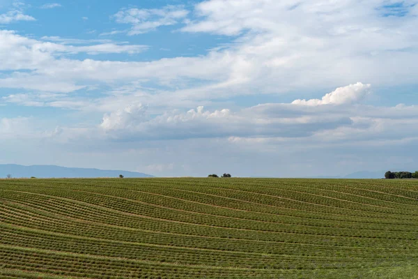 Paysage agricole en Provence, France — Photo