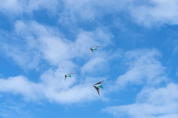 Aquiloni che volano nel cielo — Foto Stock