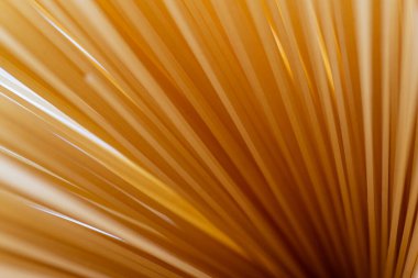 Kurutulmuş spagetti resmi.