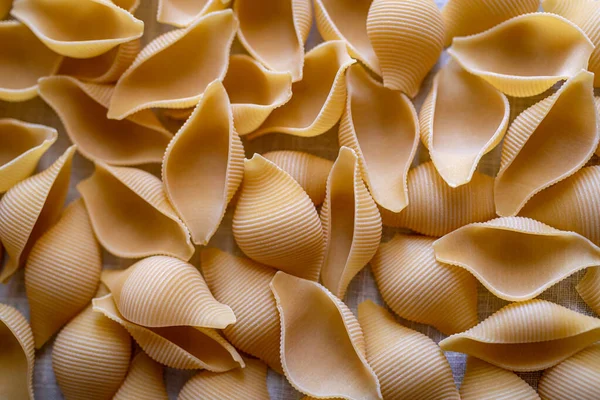 Αποξηραμένα Ιταλικά Ζυμαρικά Κοντσίγκλι Ζυμαρικά Closeup — Φωτογραφία Αρχείου