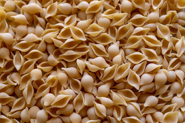 Pastas Italianas Secas Conchiglie Pasta Primer Plano —  Fotos de Stock