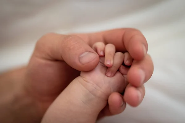 Baby Holding Hand His Dad — Stock Photo, Image