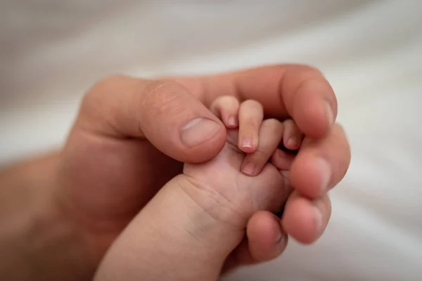 Bambino Sta Tenendo Mano Suo Padre — Foto Stock