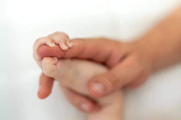 Baby Holding Hand His Dad — Stock Photo, Image