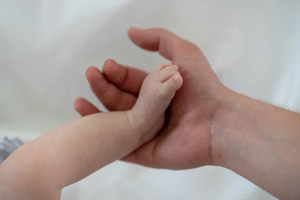 Baby Foot Father Hand — Stock Photo, Image