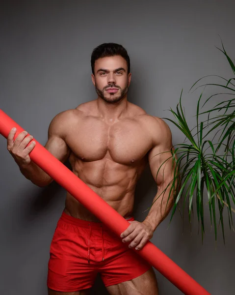 Fitness Modelo Masculino Shorts Vermelhos Fundo Cinza Com Palmeira — Fotografia de Stock