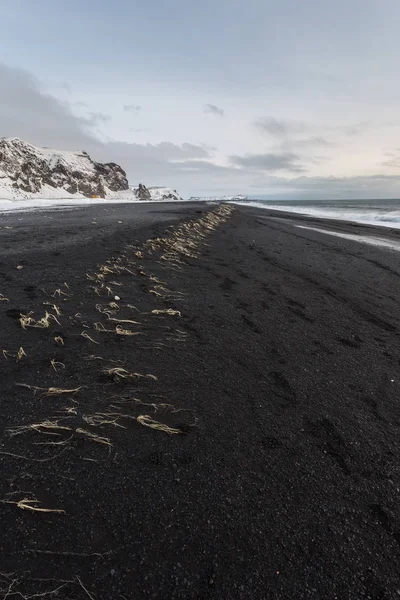 Playa Basalto Negro Islandia — Foto de Stock