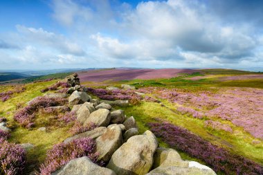 Summer heather at Carl Wark an ancient Iron Age Hillfort near Higger Tor in the Peak District National Park in Derbyshire, looking out across Winyards Nick clipart