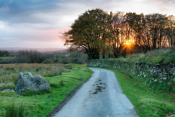 Landweg in Cornwall — Stockfoto