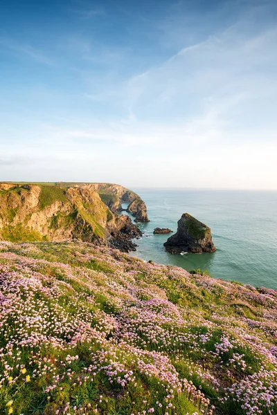 stock image Summer at Bedruthan Steps