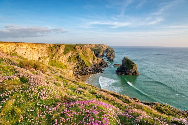 Cornish Cliffs no verão — Fotografia de Stock