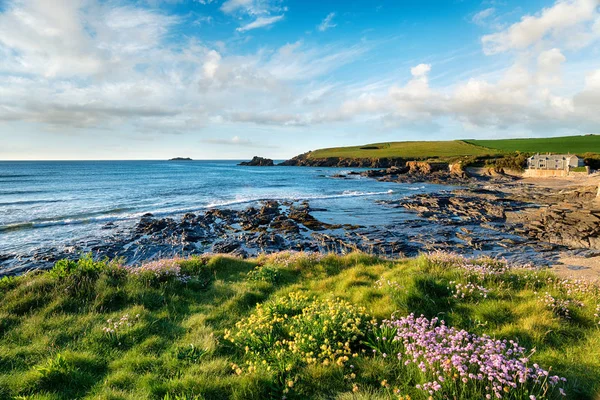 Summer at Trevone in Cornwall — Stock Photo, Image