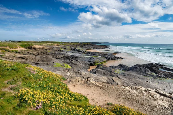 Été sur la côte de Cornouailles — Photo