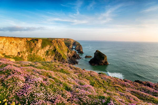 Épargne à Bedruthan en Cornouailles — Photo