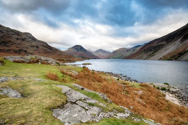 Коли в регіоні Cumbria — стокове фото