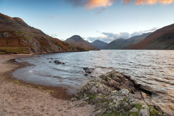 Коли в регіоні Cumbria — стокове фото