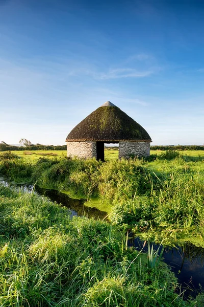 Pantanos de Braunton en Devon —  Fotos de Stock