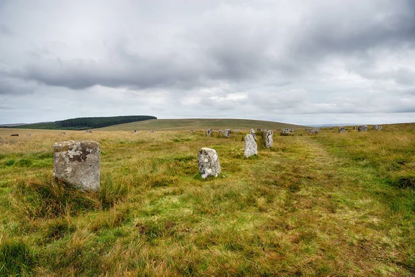 Dartmoor-Nationalpark — Stockfoto