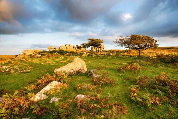 Combestone Tor v Devonu — Stock fotografie