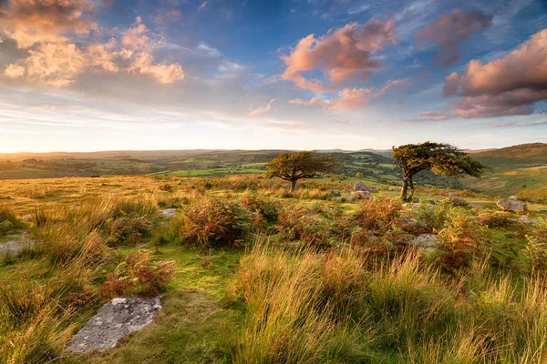 Parque Nacional Dartmoor —  Fotos de Stock