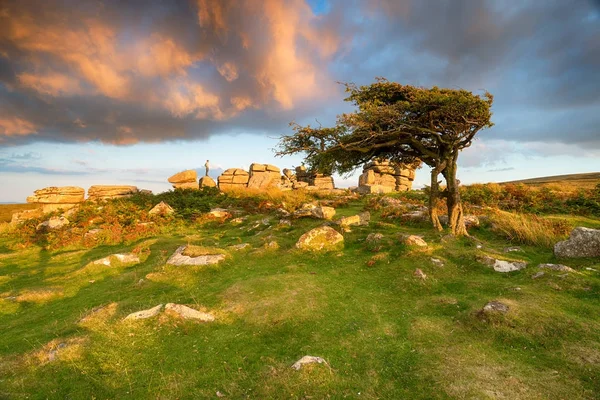 Вечерний свет в Combestone Tor — стоковое фото