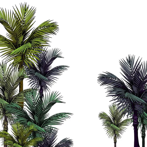 Palmiye ağaçlı kare kart — Stok Vektör