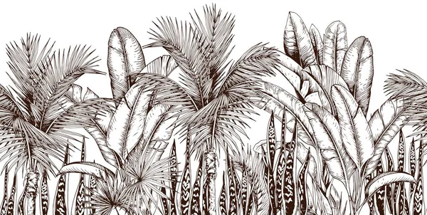 Bosque de palma tropical — Vector de stock