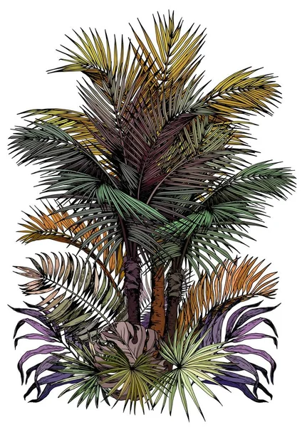 Karta tropikalna z liśćmi palmowymi — Wektor stockowy