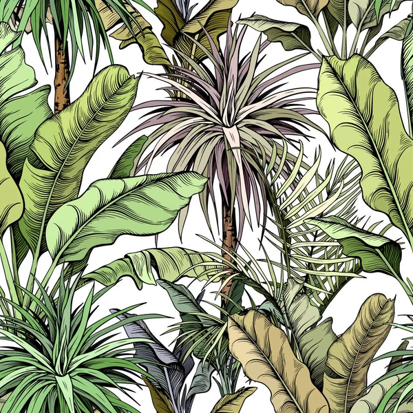 Modèle sans couture avec des arbres tropicaux verts . — Image vectorielle