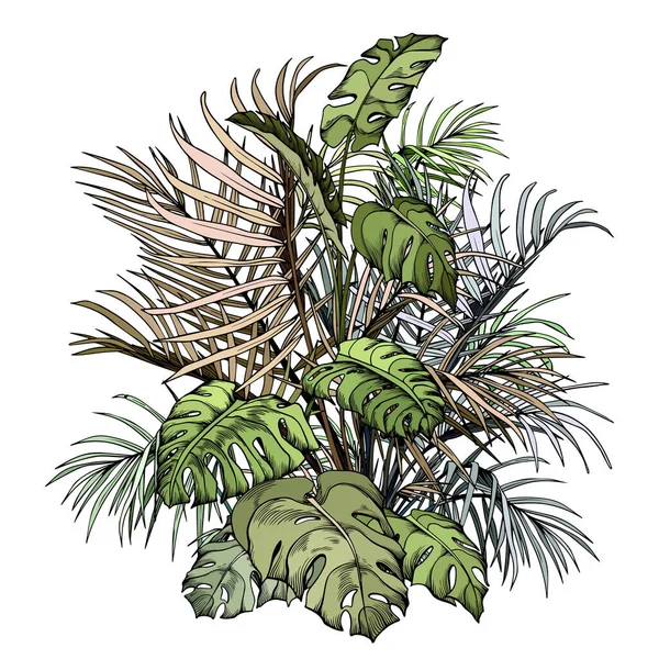 Arbusto tropical verde con monstera y hojas de palma . — Archivo Imágenes Vectoriales