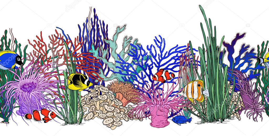 Seamless horizontal border with colorful corals, seaweeds and tropical fishes.
