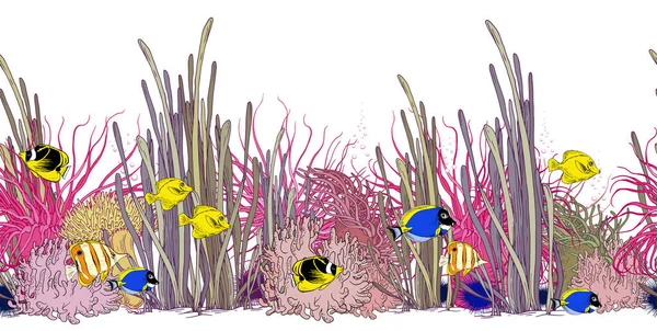 Bordure horizontale sans couture avec des poissons tropicaux colorés, des coraux, des algues et des anémones marines . — Image vectorielle