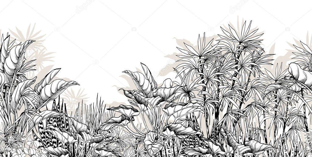 Seamless tropical border with black and white foliage.