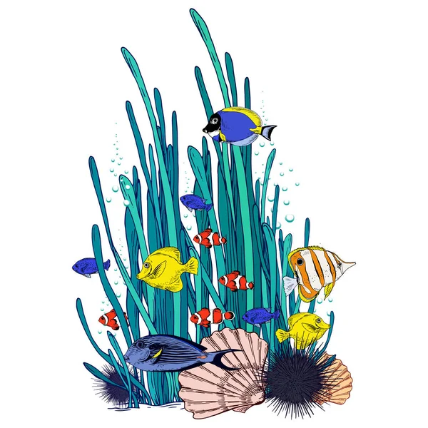 Paisaje submarino con algas, conchas y coloridos peces tropicales . — Archivo Imágenes Vectoriales