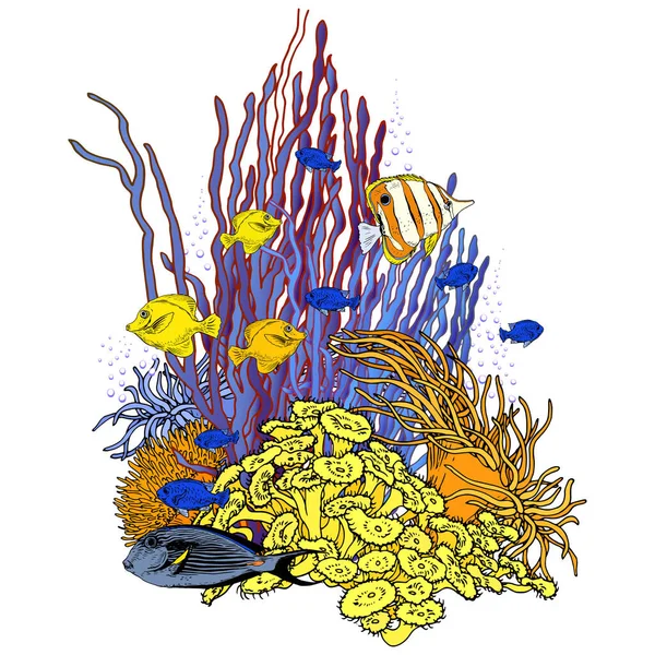 Kolorowe podwodne krajobrazy z koralami i tropikalnymi rybami. — Wektor stockowy