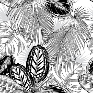 Seamless pattern with black and white tropical foliage.